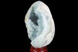 Crystal Filled Celestine (Celestite) Egg Geode - Madagascar #98827-3